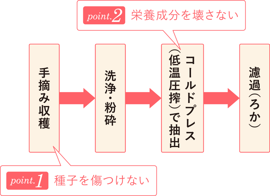 エリナ ３点セット　スクラブ　ホホバオイル　ビューティーコラージュ