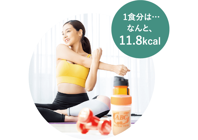 【日本製】 エリナ ナチュラルエナジーC 2個 sushitai.com.mx