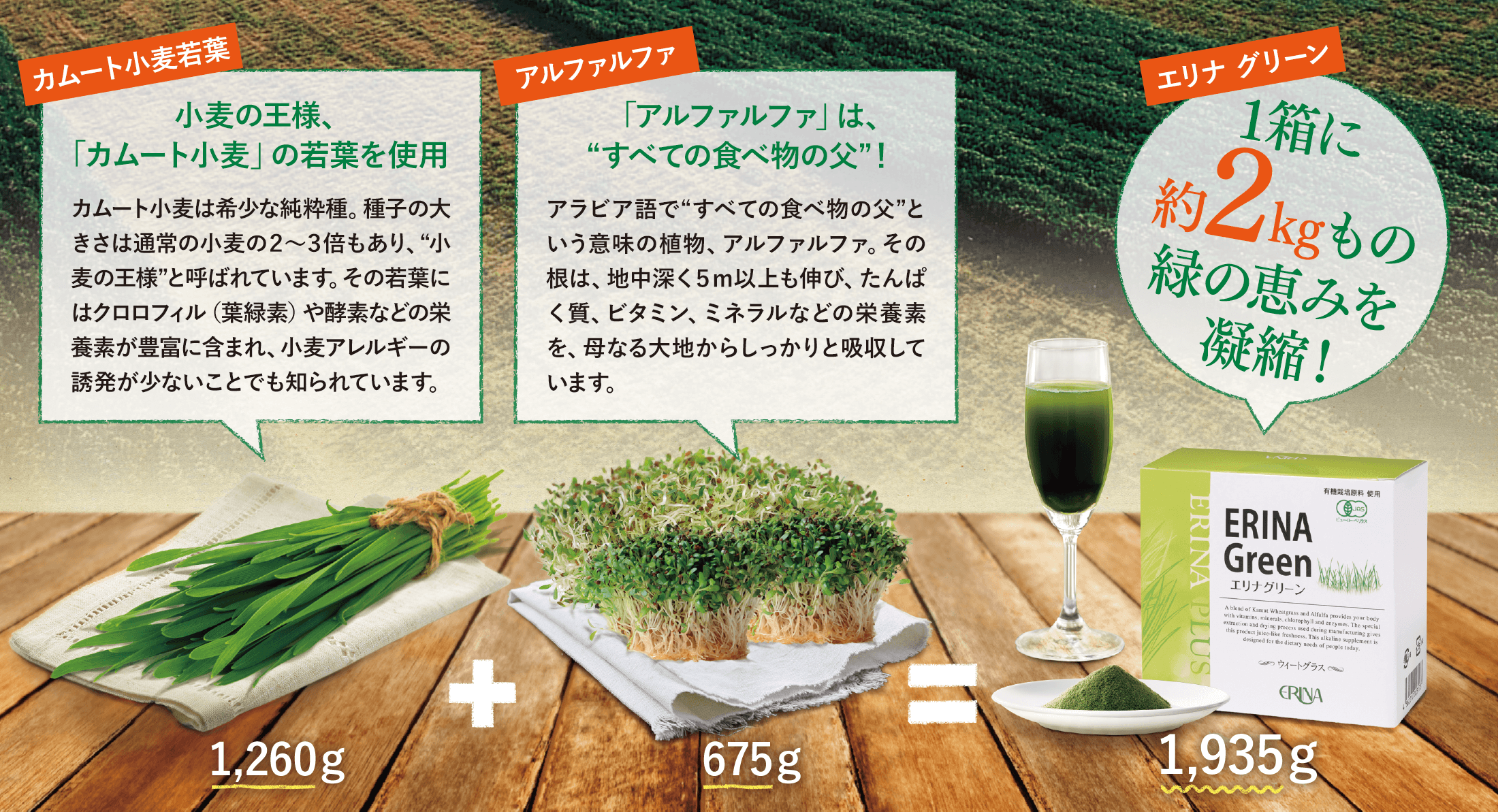 エリナ グリーン1箱に約2kgもの緑の恵みを凝縮!