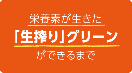 栄養素が生きた「生搾り」グリーンができるまで