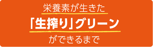 栄養素が生きた「生搾り」グリーンができるまで