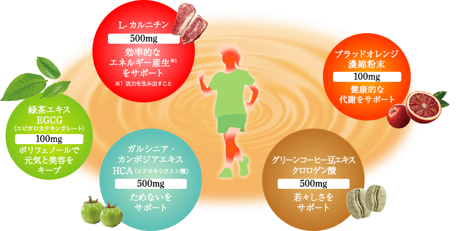 独自に配合した5成分のチームワーク