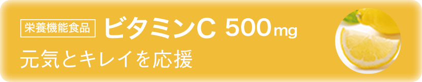 栄養機能食品 ビタミンC 500mg