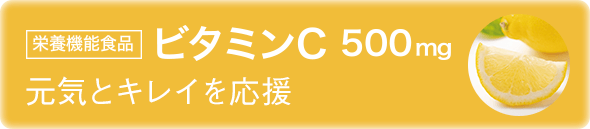 栄養機能食品 ビタミンC 500mg