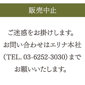 エリナ　RJトリートメントシャンプー　ローヤルゼリーシャンプー　２本